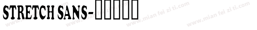 STRETCH SANS字体转换